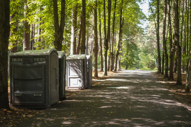 Best Luxury portable toilet rental  in Nyon Lake, CA